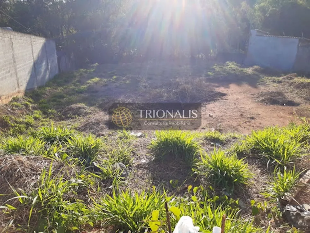 Terreno, 1567 m² - Foto 4