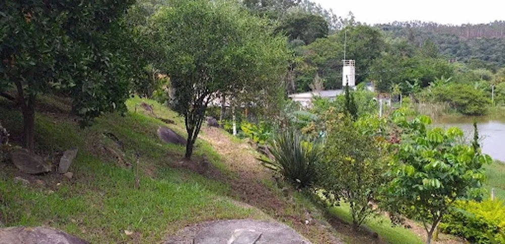 Chácara, 3 quartos, 6050 m² - Foto 4