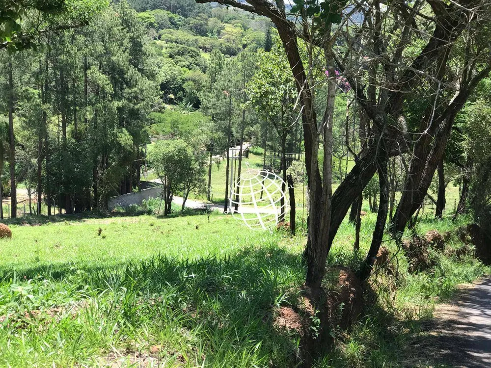Terreno, 3 hectares - Foto 7