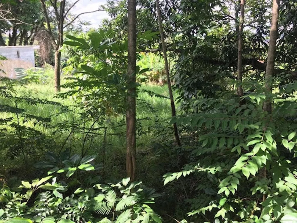 Terreno, 395 m² - Foto 4