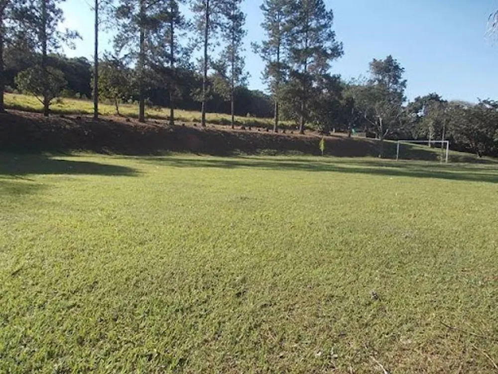 Chácara, 4 quartos, 4 hectares - Foto 6