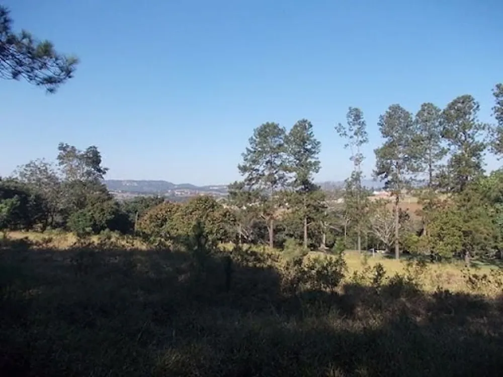 Chácara, 4 quartos, 4 hectares - Foto 10