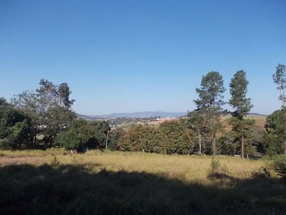 Chácara, 4 quartos, 4 hectares - Foto 9