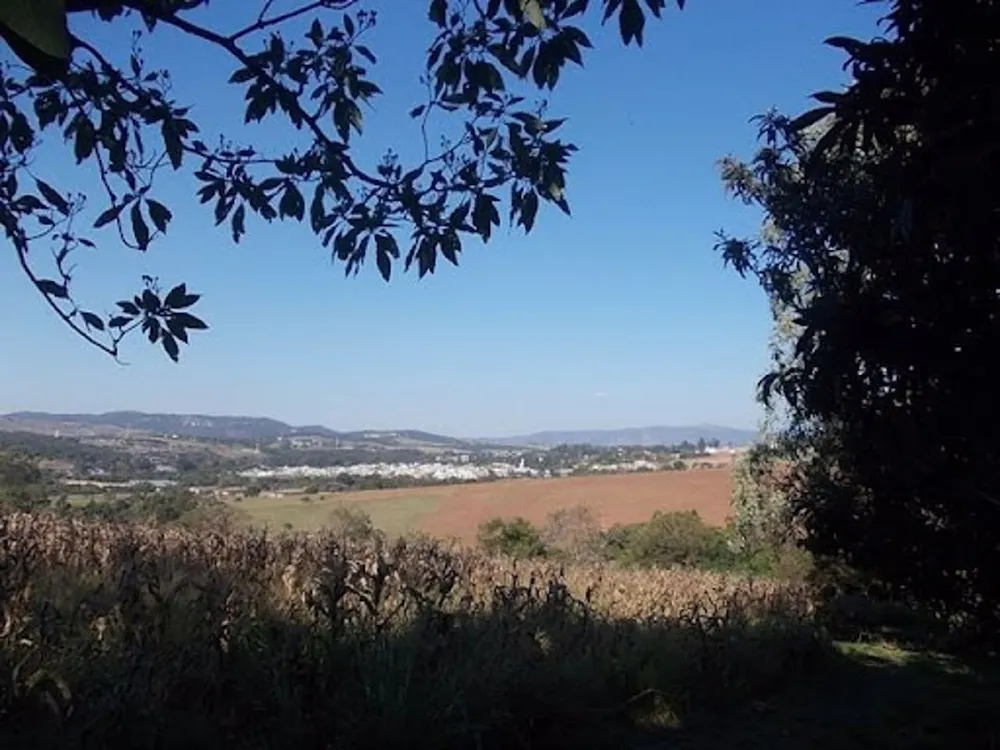 Chácara, 4 quartos, 4 hectares - Foto 14