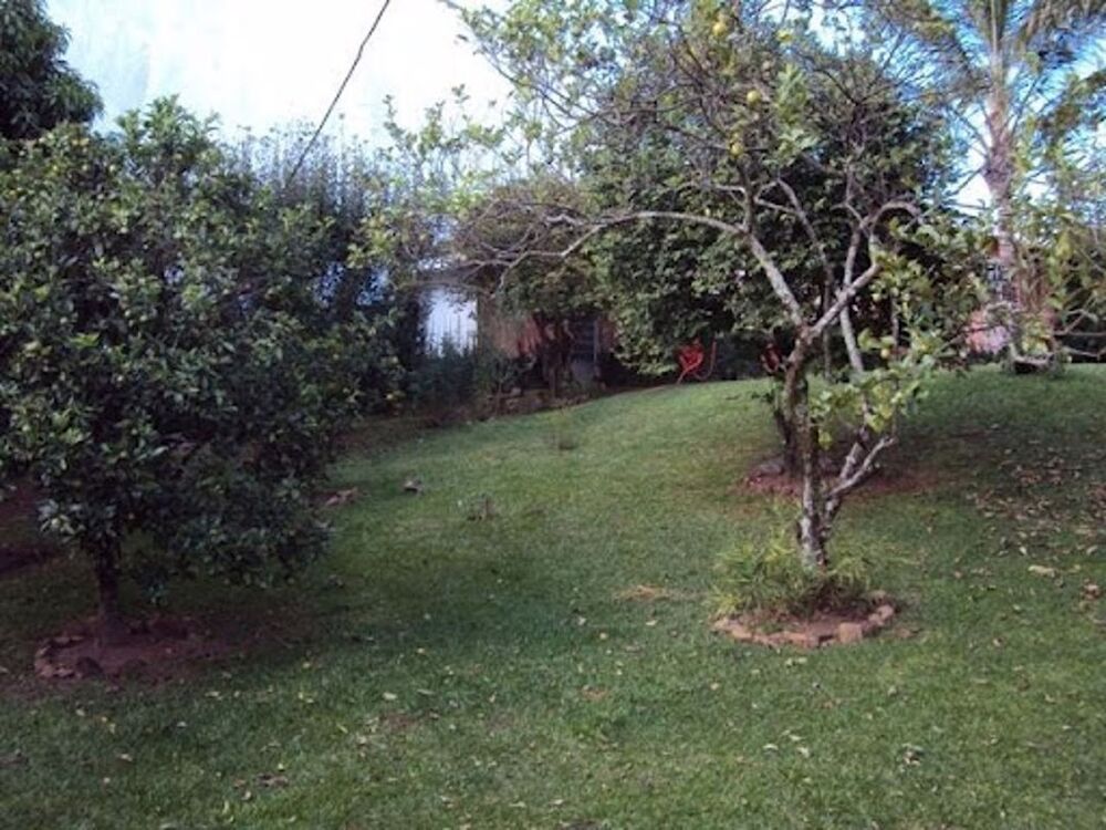 Casa, 4 quartos, 380 m² - Foto 10