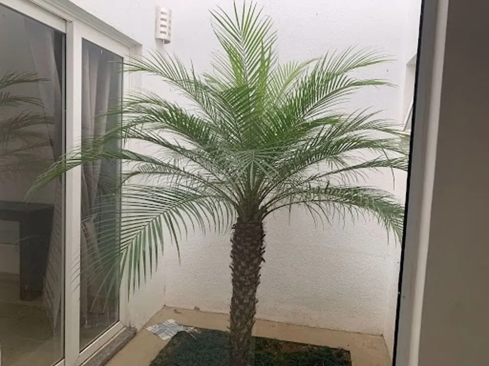 Casa, 3 quartos, 80 m² - Foto 4