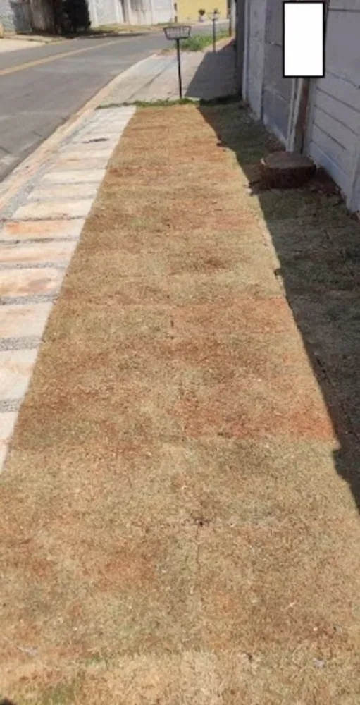 Terreno, 470 m² - Foto 9