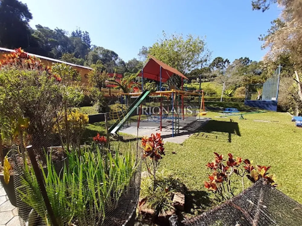 Chácara, 7 quartos, 2 hectares - Foto 7