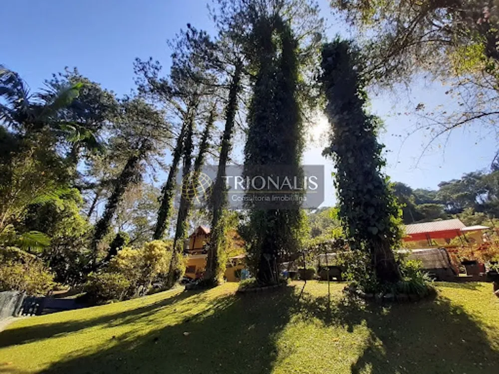 Chácara, 7 quartos, 2 hectares - Foto 3