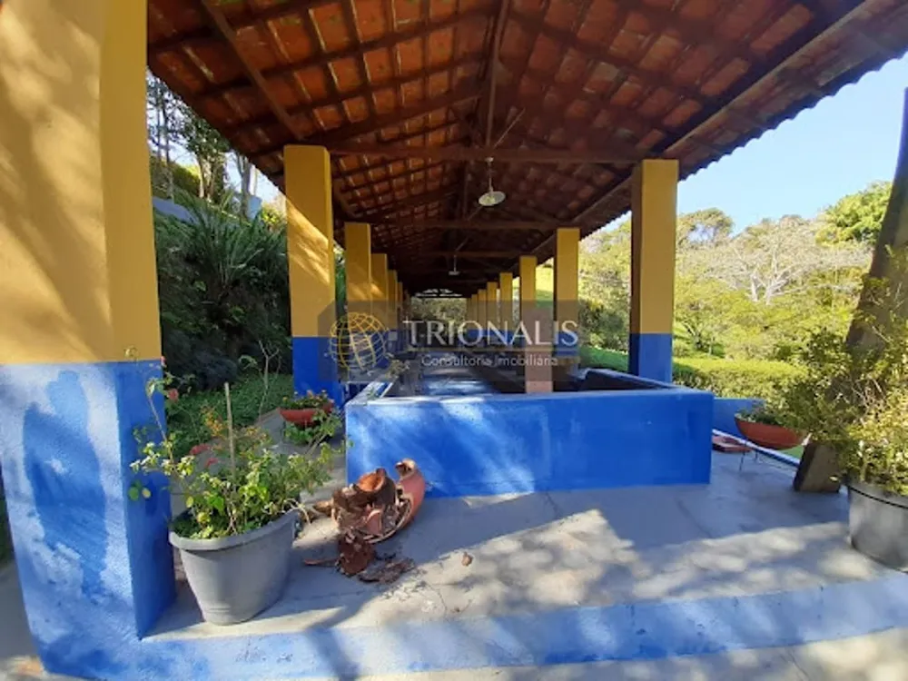 Chácara, 7 quartos, 2 hectares - Foto 2