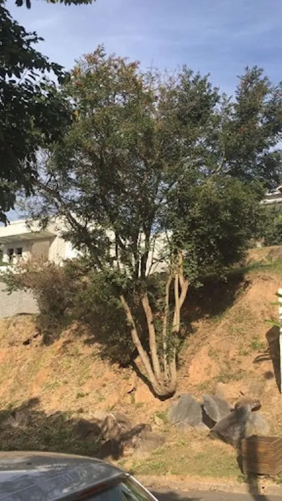 Loteamento e Condomínio, 450 m² - Foto 5