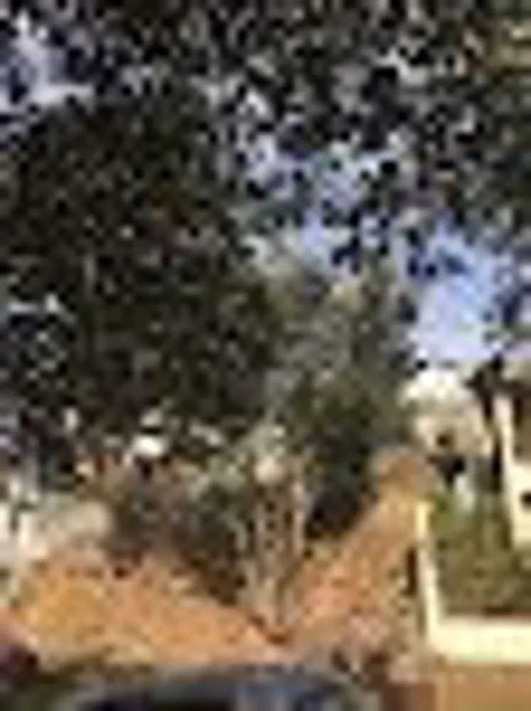 Loteamento e Condomínio, 450 m² - Foto 10