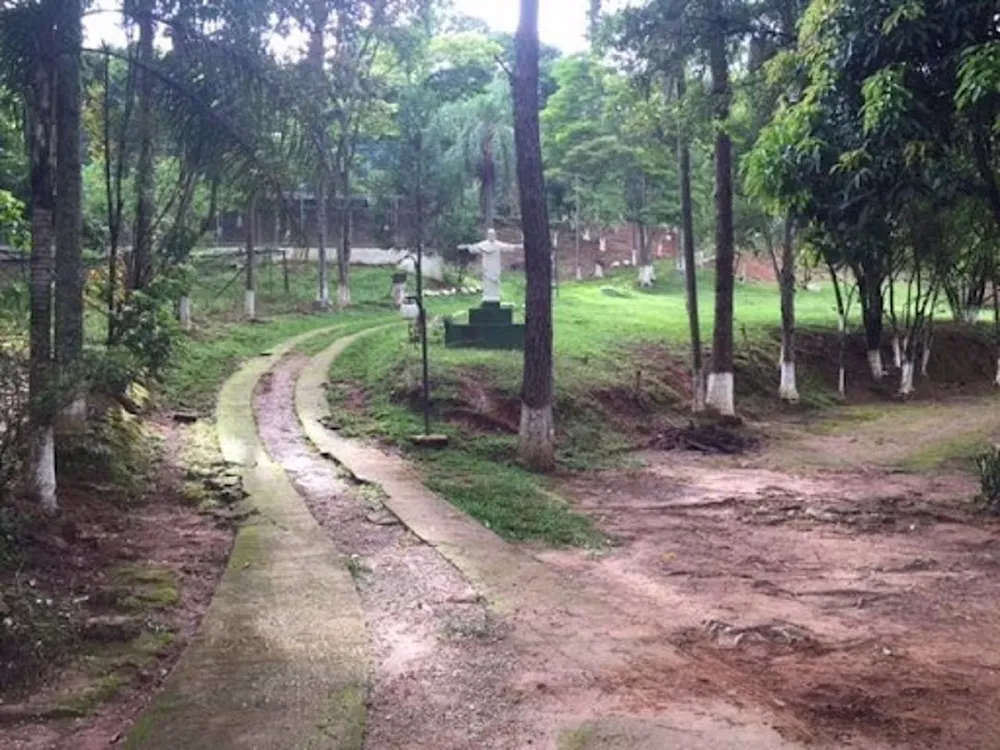 Sítio, 3 quartos, 4 hectares - Foto 10