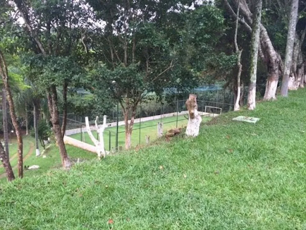 Sítio, 3 quartos, 4 hectares - Foto 4
