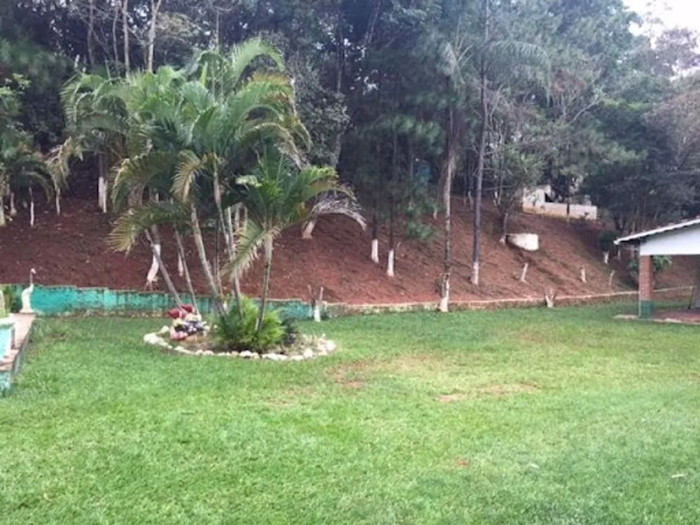 Sítio, 3 quartos, 4 hectares - Foto 6