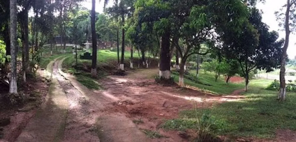 Sítio, 3 quartos, 4 hectares - Foto 7