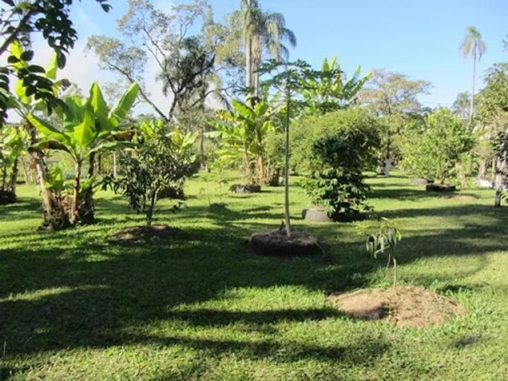 Chácara, 4 quartos, 1 hectares - Foto 15