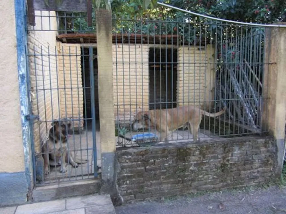 Chácara, 4 quartos, 1 hectares - Foto 14