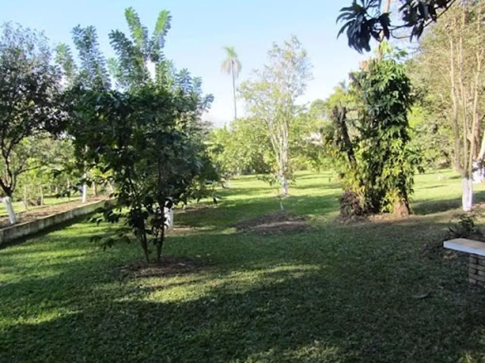 Chácara, 4 quartos, 1 hectares - Foto 13