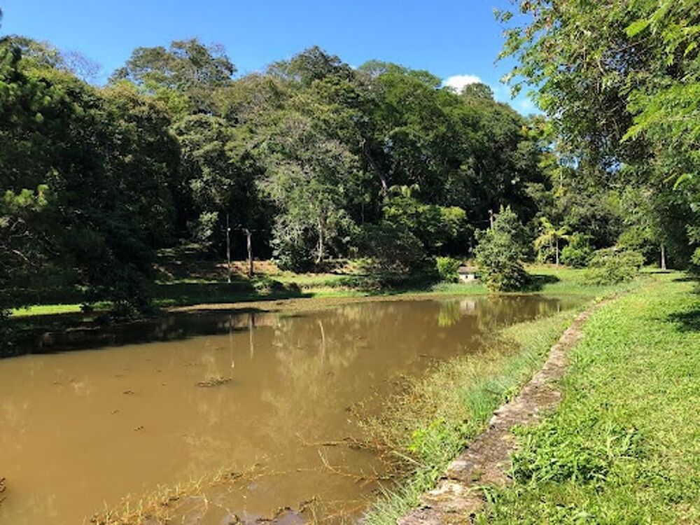 Chácara, 6 quartos, 8 hectares - Foto 4