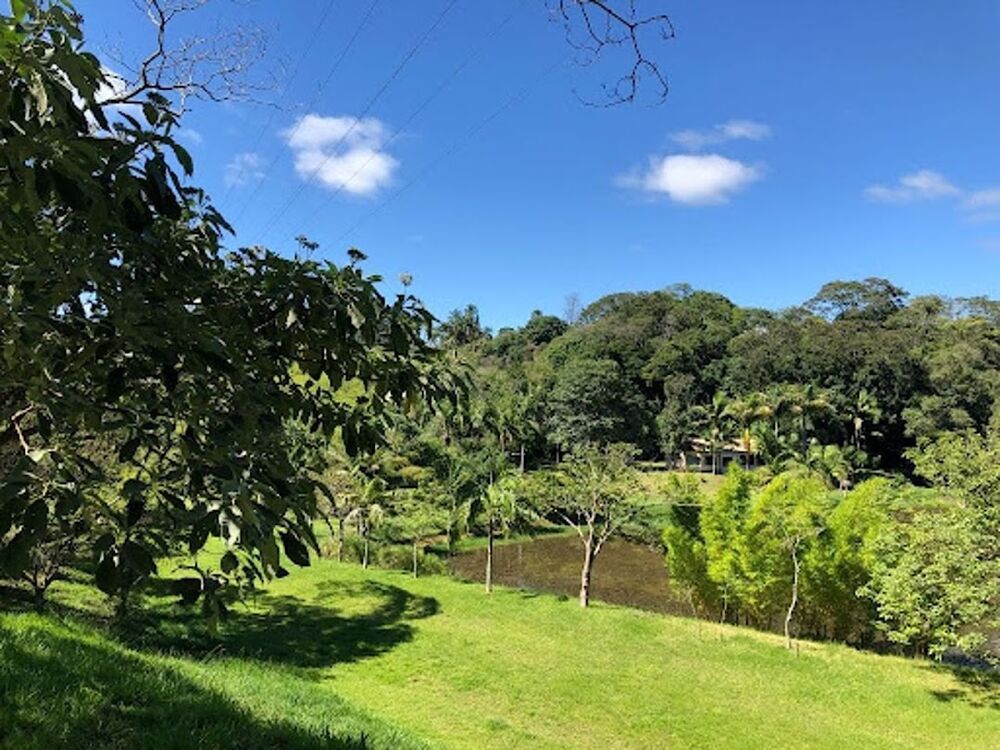 Chácara, 6 quartos, 8 hectares - Foto 2