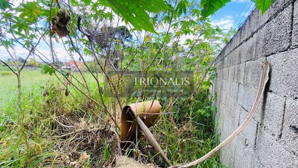 Terreno, 1200 m² - Foto 4