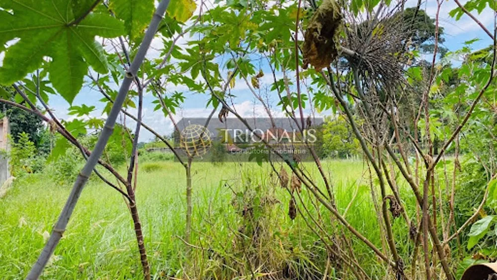 Terreno, 1200 m² - Foto 9