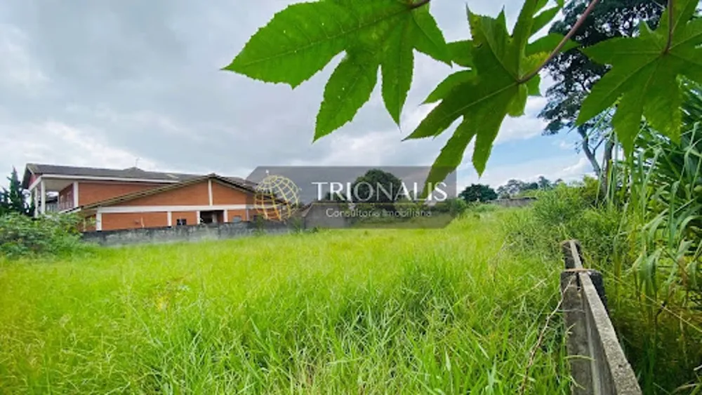 Terreno, 1200 m² - Foto 6