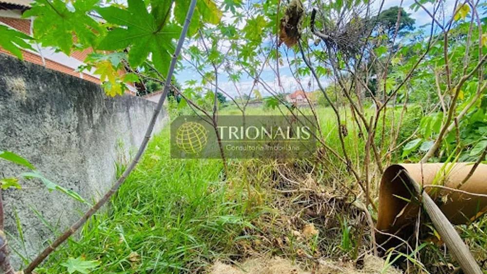 Terreno, 1200 m² - Foto 8