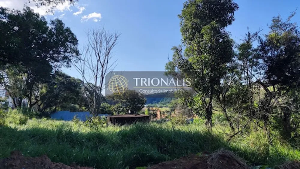 Terreno, 10000 m² - Foto 3