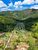 Terreno, 10 hectares - Foto 4