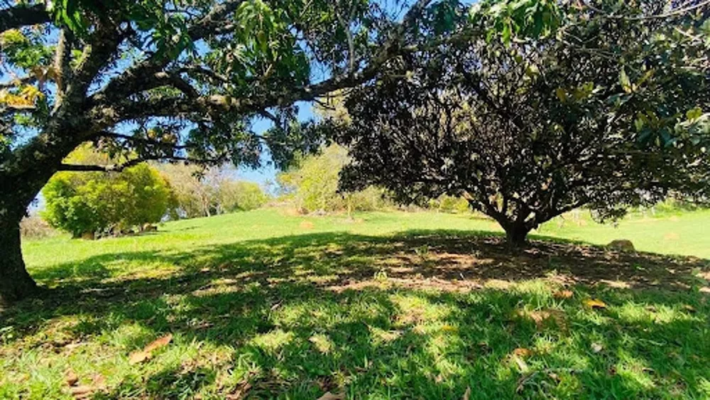 Terreno à venda, 413M2 - Foto 2