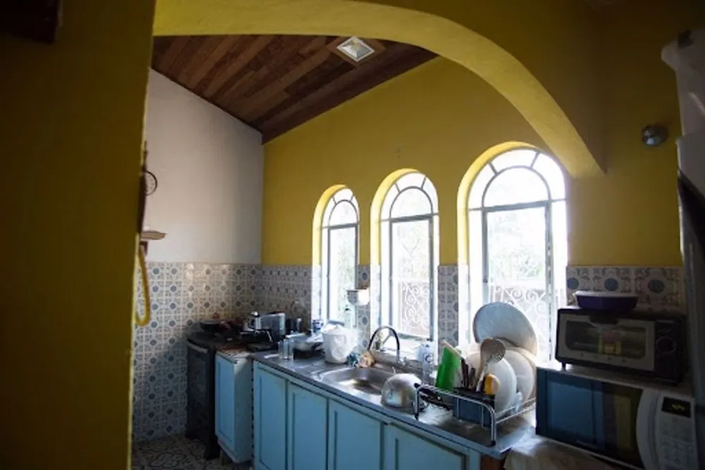 Chácara, 3 quartos, 6000 m² - Foto 3