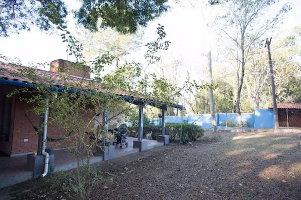 Chácara, 3 quartos, 6000 m² - Foto 12