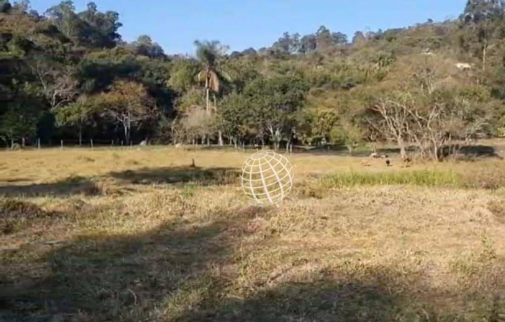 Terreno, 3 hectares - Foto 4