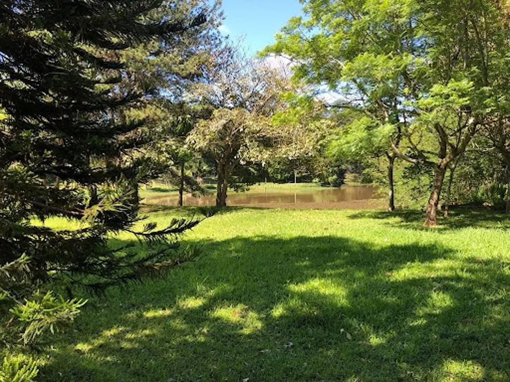 Chácara, 6 quartos, 8 hectares - Foto 9