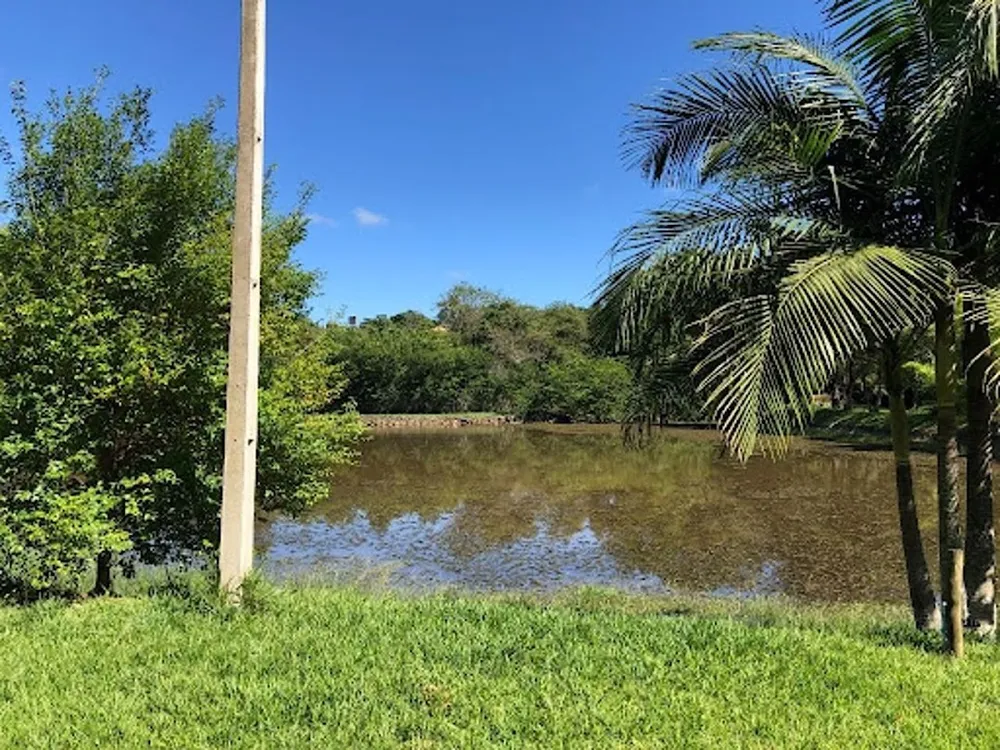 Chácara, 6 quartos, 8 hectares - Foto 6