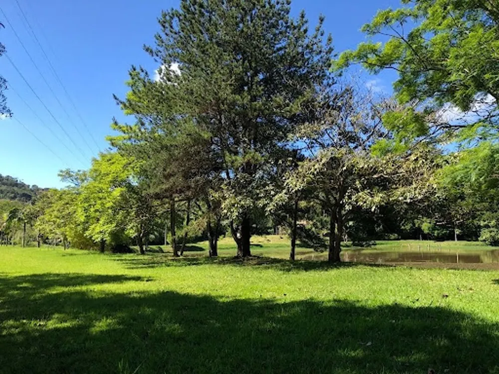 Chácara, 6 quartos, 8 hectares - Foto 7