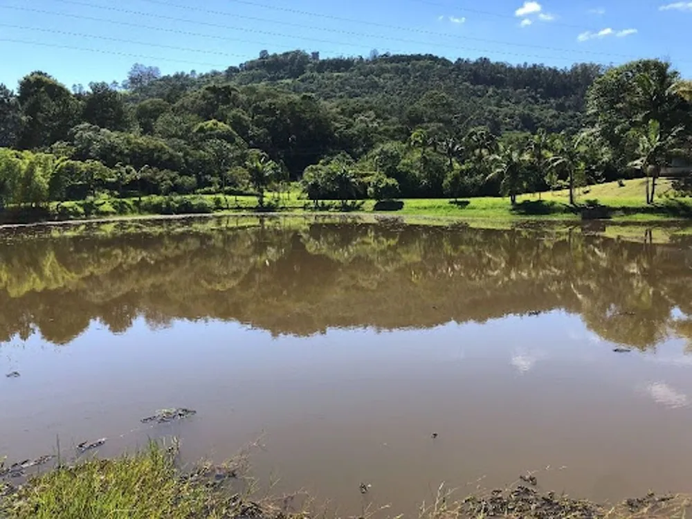 Chácara, 6 quartos, 8 hectares - Foto 12