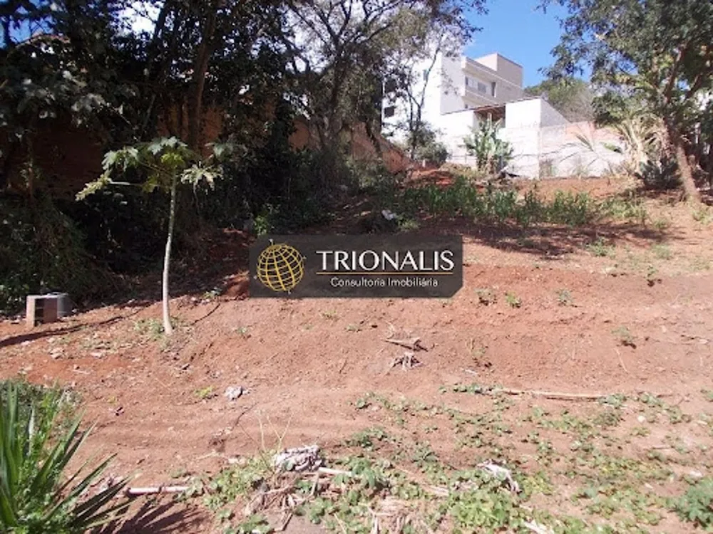 Terreno, 536 m² - Foto 4