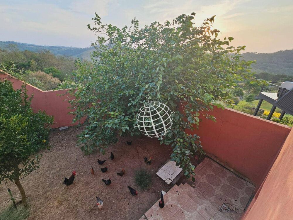 Casa à venda com 3 quartos, 170m² - Foto 49