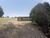 Terreno, 4 hectares - Foto 3