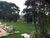 Sítio, 3 quartos, 4 hectares - Foto 3