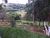 Sítio, 3 quartos, 4 hectares - Foto 7