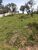 Terreno, 1082 m² - Foto 3