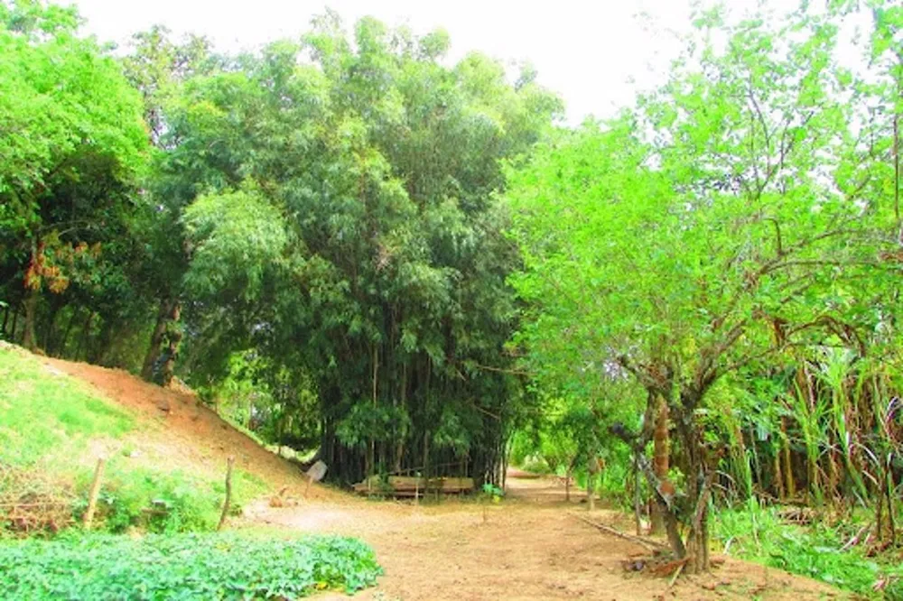 Terreno, 3534 m² - Foto 9