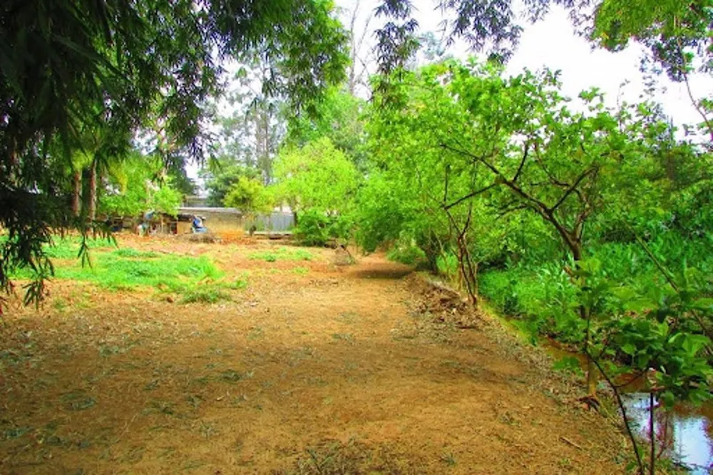 Terreno, 3534 m² - Foto 6