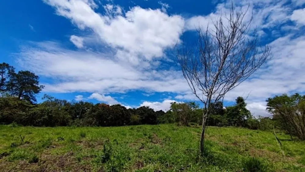 Terreno, 2600 m² - Foto 5