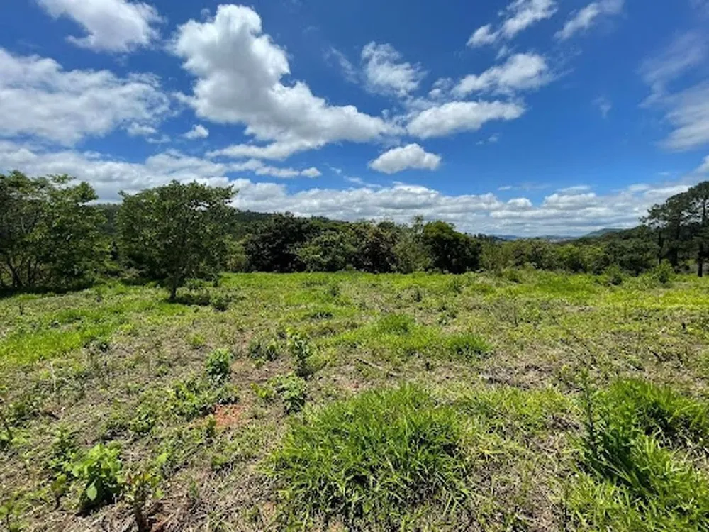 Terreno, 2600 m² - Foto 11