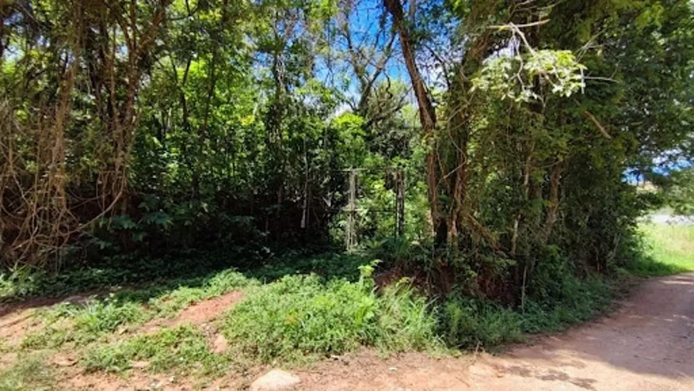 Terreno, 2600 m² - Foto 3